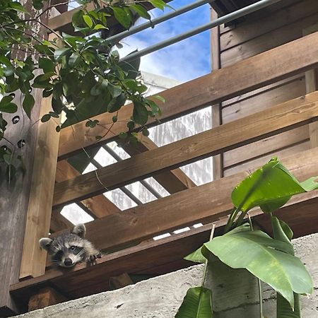 Bungalow Nature Gosier Centre Le Gosier (Grande-Terre) Exterior foto