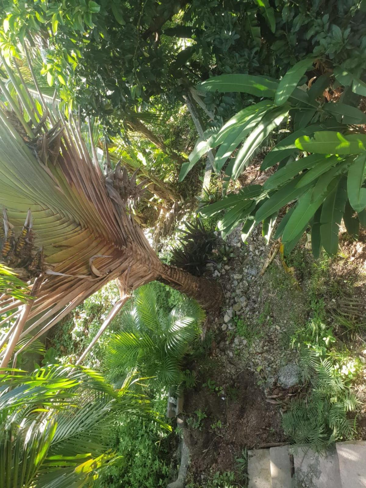Bungalow Nature Gosier Centre Le Gosier (Grande-Terre) Exterior foto