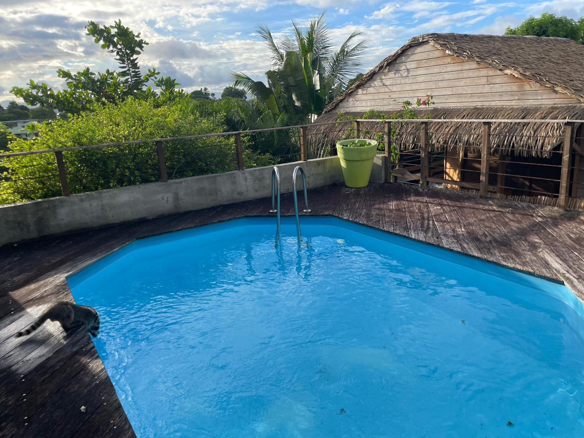 Bungalow Nature Gosier Centre Le Gosier (Grande-Terre) Exterior foto